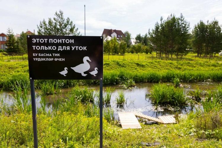 В Альметьевске на Каскаде прудов появился новый понтон для уток