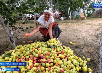 В Татарстане отметили «Яблочный спас»