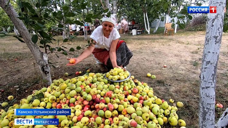 В Татарстане отметили «Яблочный спас»