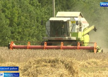 Татарстанские аграрии уверенно идут ко второму миллиону тонн зерна
