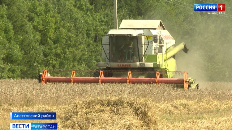 Татарстанские аграрии уверенно идут ко второму миллиону тонн зерна