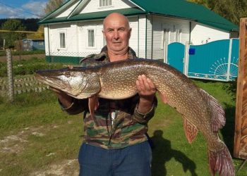 Житель Балтасинского района поймал щуку весом 12 кг