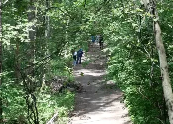В Нижнекамске откроют первую экотропу в День города