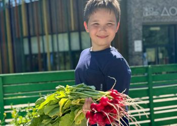 В Казани завершается проект «Общественный огород»