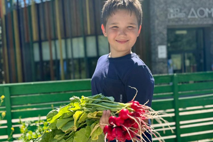 В Казани завершается проект «Общественный огород»