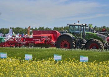 В Богатых Сабах до конца года откроется новый агропарк