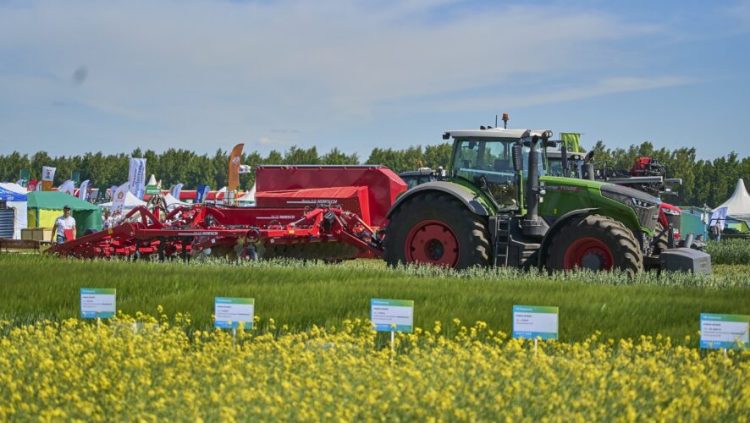 В Богатых Сабах до конца года откроется новый агропарк
