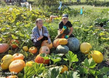 Ученики бавлинской школы вырастили овощи для бойцов СВО