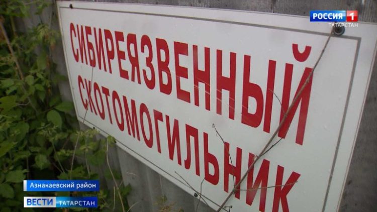 В Татарстане стартует сбор и переработка биоотходов