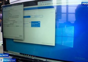 В Лениногорском районе вырос четырехметровый подсолнух