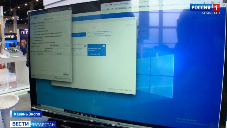 В Лениногорском районе вырос четырехметровый подсолнух