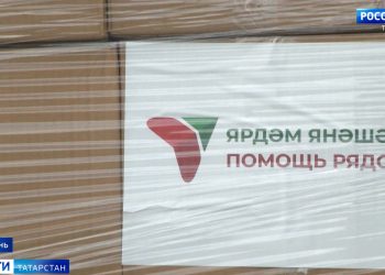 В Лениногорском районе вырос четырехметровый подсолнух