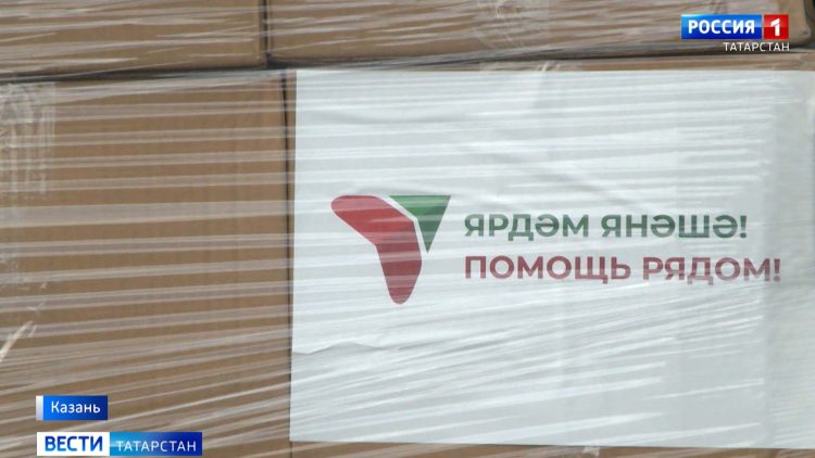 В Лениногорском районе вырос четырехметровый подсолнух