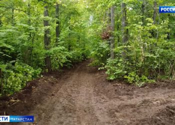 Стали известны обстоятельства трагедии в Бугульме