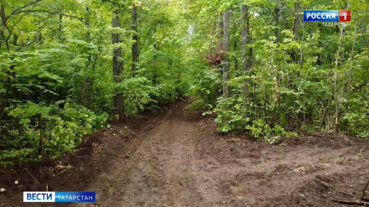 Стали известны обстоятельства трагедии в Бугульме