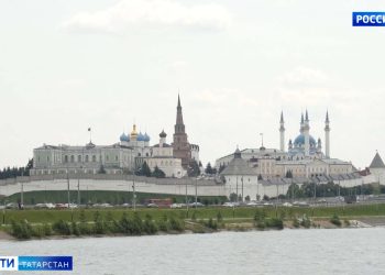 В казанском поселке Отары зафиксировали мор рыбы