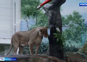 Стали известны подробности трагедии в метро Казани на станции «Проспект Победы»