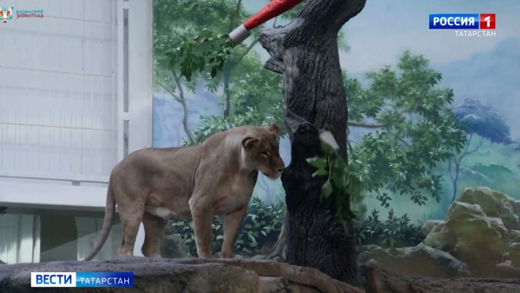 Стали известны подробности трагедии в метро Казани на станции «Проспект Победы»