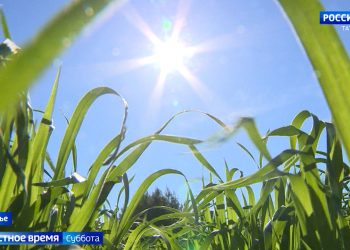 Ливни, смерчи и засуха: эксперты объяснили стремительные изменения погоды в Татарстане
