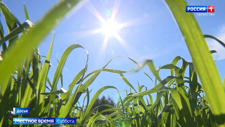 Ливни, смерчи и засуха: эксперты объяснили стремительные изменения погоды в Татарстане