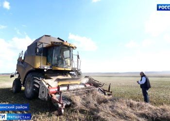 В Татарстане почти завершили уборку зерновых культур