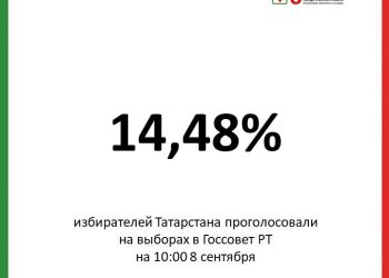 Явка на выборах в Госсовет РТ к 10 часам достигла 14,48%