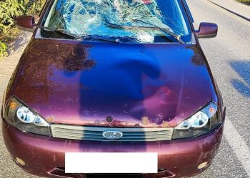 В Казани женщина насмерть сбила пенсионера