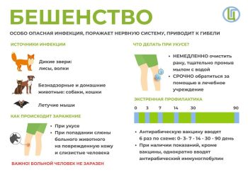 Специалисты Роспотребнадзора по РТ рассказали, как избежать заражения бешенством