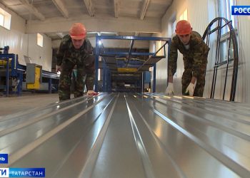 В Лениногорском районе вырос четырехметровый подсолнух