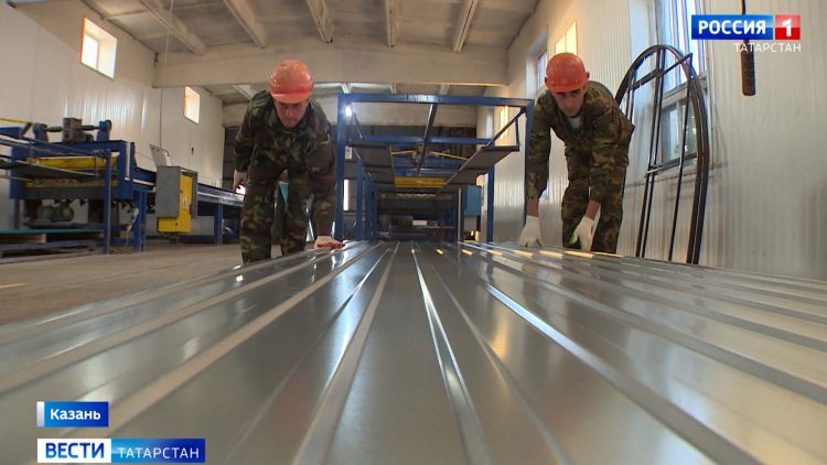 В Лениногорском районе вырос четырехметровый подсолнух