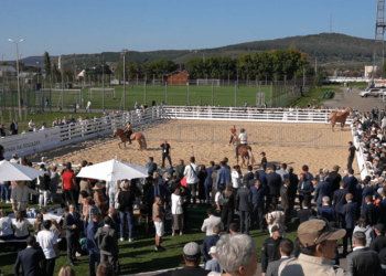 Минниханов посетил в Альметьевске новый спортивно-кинологический комплекс