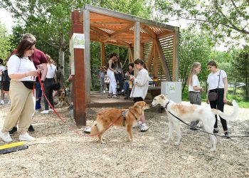 В Казани пройдет заключительная благотворительная акция «Лапа дружбы»