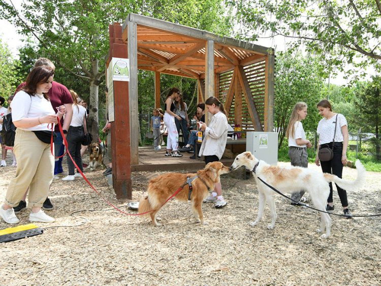 В Казани пройдет заключительная благотворительная акция «Лапа дружбы»