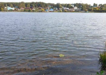В Кукморе в пруду обнаружено тело мужчины