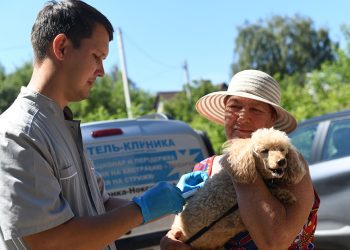 В Казани пройдет бесплатная вакцинация домашних животных от бешенства