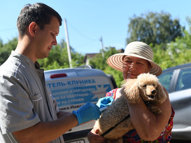 В Казани пройдет бесплатная вакцинация домашних животных от бешенства